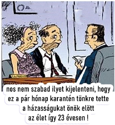 064.jpg