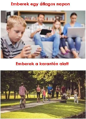 193.jpg