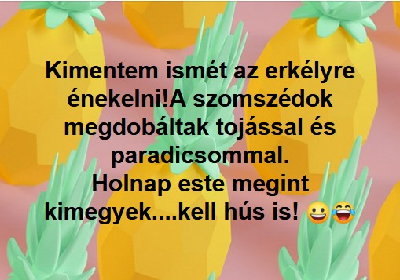 243.jpg