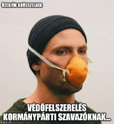 172.jpg