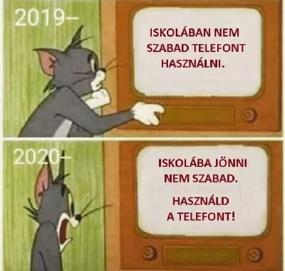 232.jpg