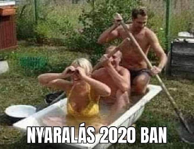 264.jpg