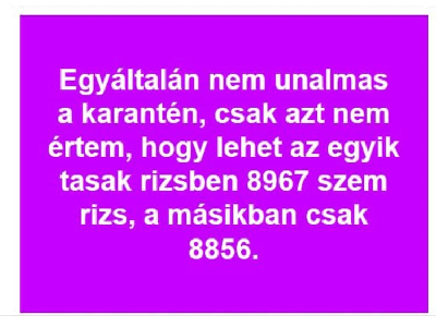 031.jpg