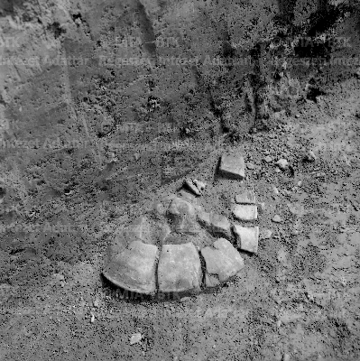 PMBH_Terep_Neg_64.656.tif