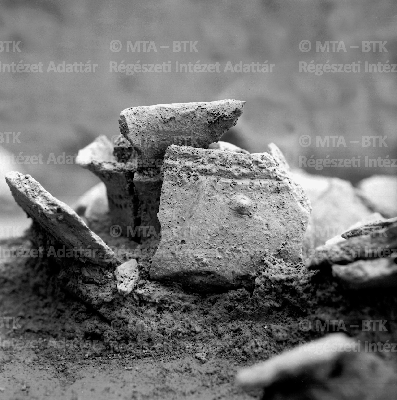 PMBH_Terep_Neg_56.119.tif