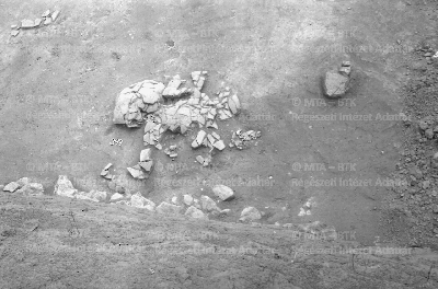 PMBH_Terep_Neg_64.597.tif