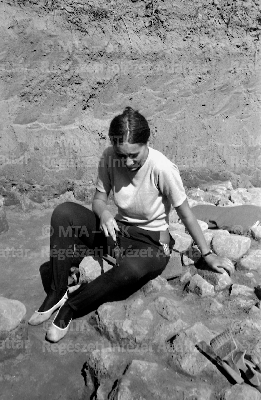 PMBH_Terep_Neg_61.046.tif