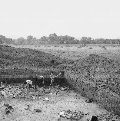 PMBH_Terep_Neg_70.244.tif