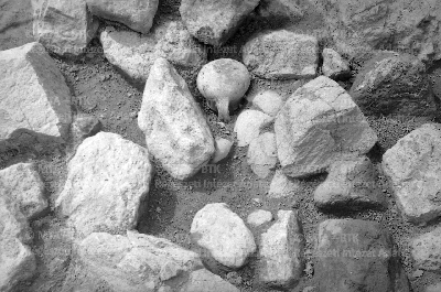 PMBH_Terep_Neg_64.560.tif