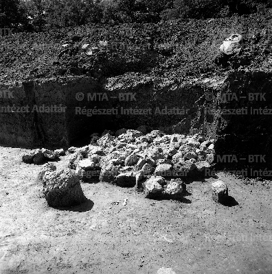 PMBH_Terep_Neg_64.624.tif