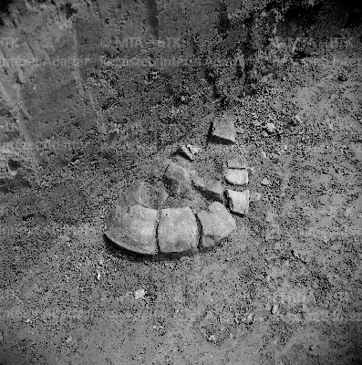 PMBH_Terep_Neg_64.658.tif