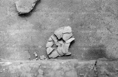 PMBH_Terep_Neg_64.559.tif