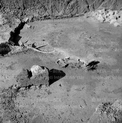 PMBH_Terep_Neg_64.667.tif