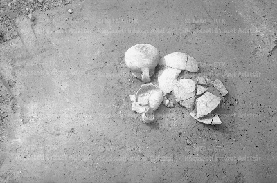 PMBH_Terep_Neg_64.592.tif