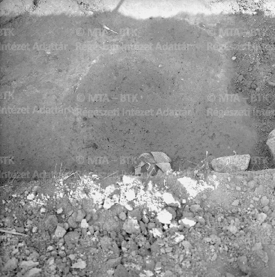 PMBH_Terep_Neg_56.134.tif