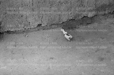 PMBH_Terep_Neg_63.979.tif