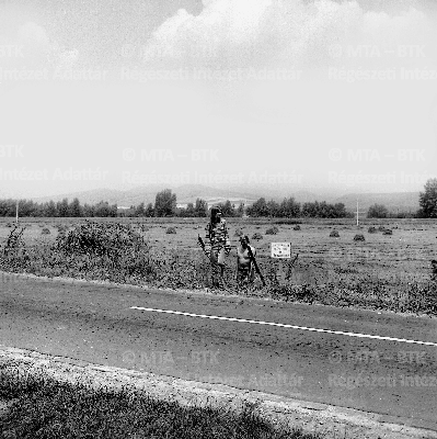PMBH_Terep_Neg_70.239.tif