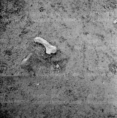 PMBH_Terep_Neg_56.136.tif