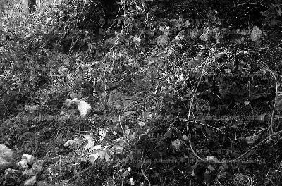 PMBH_Terep_Neg_64.551b.tif