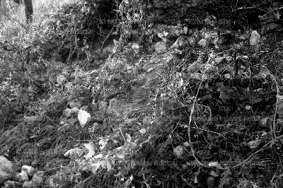 PMBH_Terep_Neg_64.551a.tif