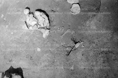 PMBH_Terep_Neg_63.972.tif