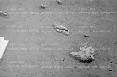 PMBH_Terep_Neg_64.552.tif