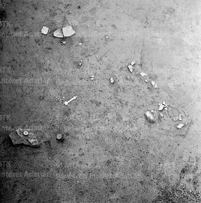 PMBH_Terep_Neg_56.130.tif