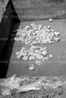 PMBH_Terep_Neg_64.561.tif