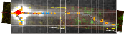 VSD_correlated_anatomy_of_mossy_fiber_1.tif