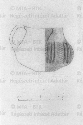 Digitalis_foto_vizjellel.jpg