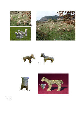 PMBH_PUB_2015_BondarM_04_Plate61.jpg