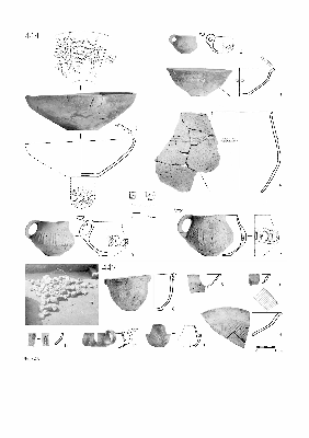 PMBH_PUB_2015_BondarM_02_Plate46.jpg