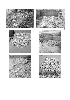 PMBH_PUB_2015_BondarM_04_Plate57.jpg