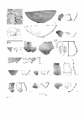 PMBH_PUB_2015_BondarM_02_Plate33.jpg