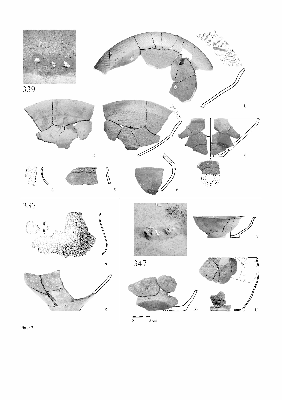 PMBH_PUB_2015_BondarM_02_Plate03.jpg
