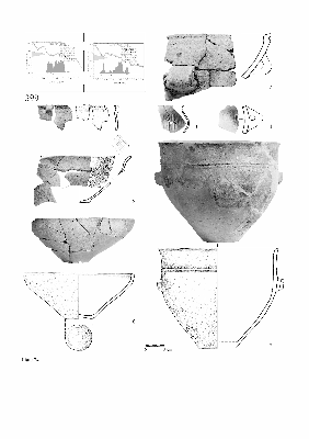 PMBH_PUB_2015_BondarM_02_Plate24.jpg