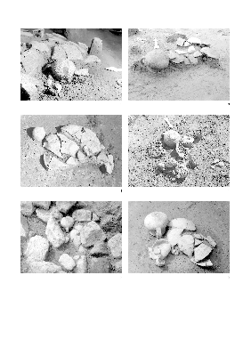 PMBH_PUB_2015_BondarM_04_Plate60.jpg