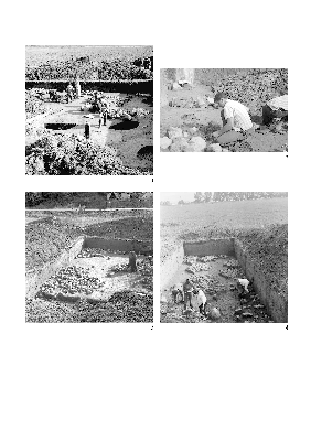 PMBH_PUB_2015_BondarM_04_Plate58.jpg