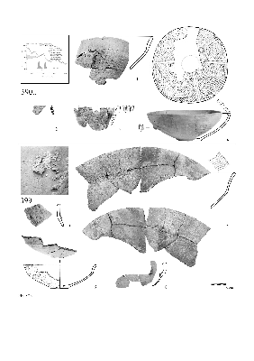 PMBH_PUB_2015_BondarM_02_Plate23.jpg