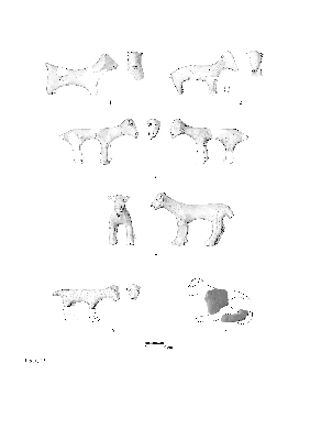 PMBH_PUB_2015_BondarM_03_Fig15.jpg