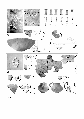 PMBH_PUB_2015_BondarM_02_Plate29.jpg