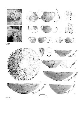 PMBH_PUB_2015_BondarM_02_Plate01.jpg