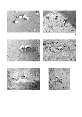 PMBH_PUB_2015_BondarM_04_Plate54.jpg