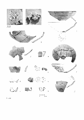 PMBH_PUB_2015_BondarM_02_Plate10.jpg