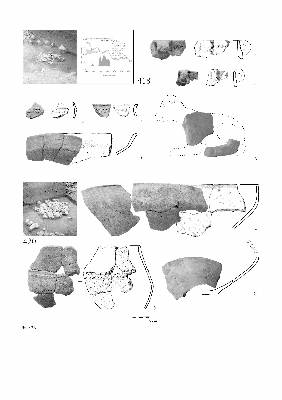 PMBH_PUB_2015_BondarM_02_Plate36.jpg