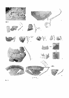 PMBH_PUB_2015_BondarM_02_Plate47.jpg