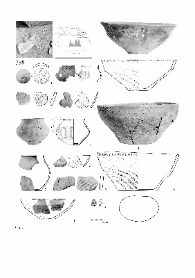 PMBH_PUB_2015_BondarM_02_Plate21.jpg