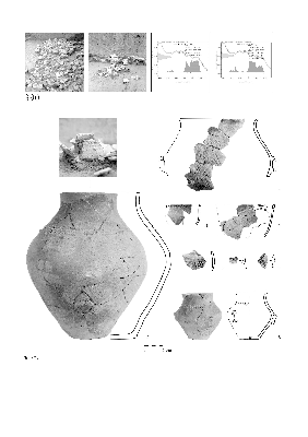 PMBH_PUB_2015_BondarM_02_Plate22.jpg
