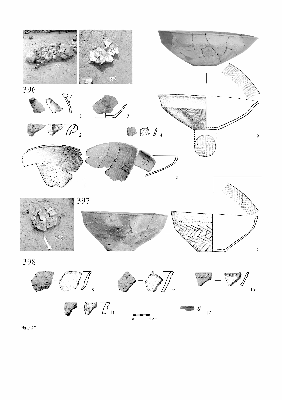 PMBH_PUB_2015_BondarM_02_Plate27.jpg