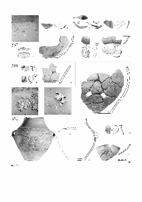 PMBH_PUB_2015_BondarM_02_Plate20.jpg